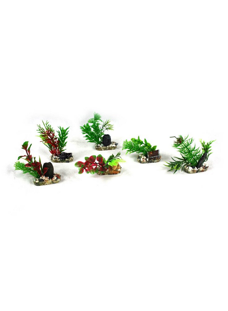 6 Piantine finte per acquario 9cm assortite