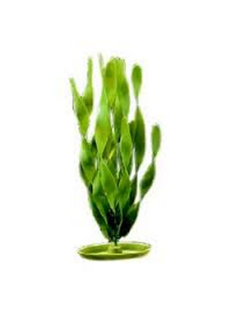 Pianta finta per acquario VALLISNERIA AQUASCAPER cm20 PP-814