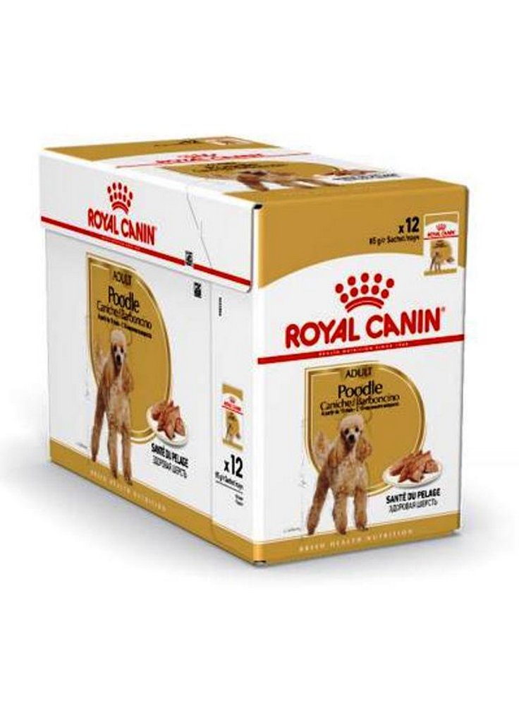 Barboncino POODLE umido Royal Canin 12x85 gr