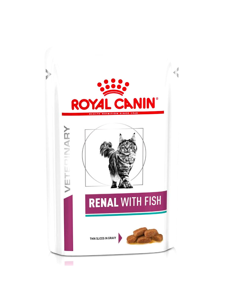 Renal umido gatto Royal Canin