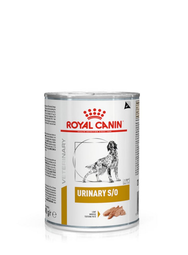 Urinary S/O umido cane Royal Canin