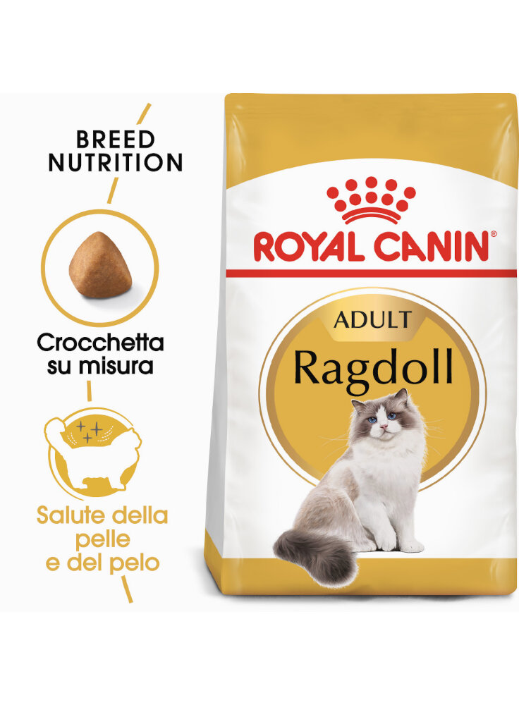 RAGDOLL Royal Canin
