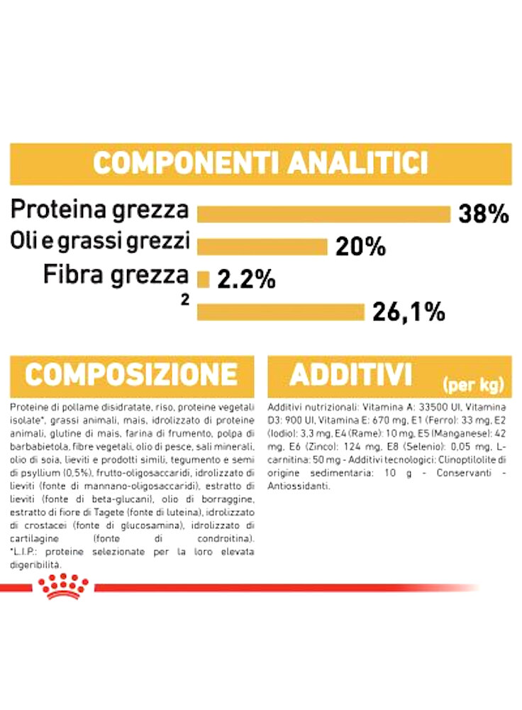 rc_fbn_kittenbritishshorthair_cv9_1_001_italy_italian__2