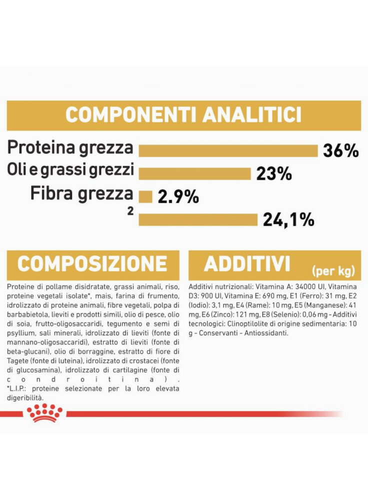 rc_fbn_kittenmainecoon_cv9_1_002_italy_italian__8