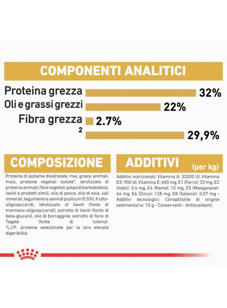 rc_fbn_kittenpersian_cv9_1_000_italy_italian__3