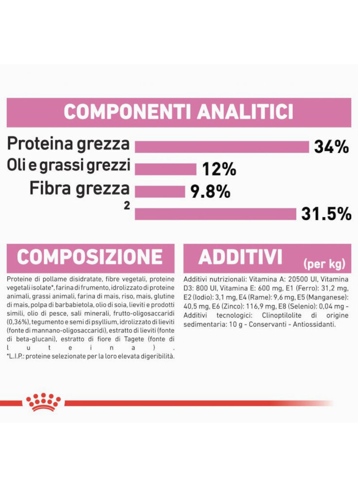 rc_fhn_kittensterilised_cv9_1_005_italy_italian__8