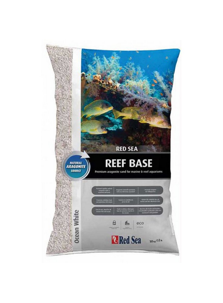 Sabbia corallina fine e superfine Reef base kg 10