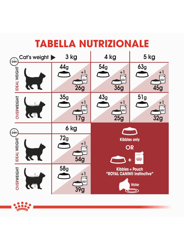 regular-fit-gatto-royal-canin-2