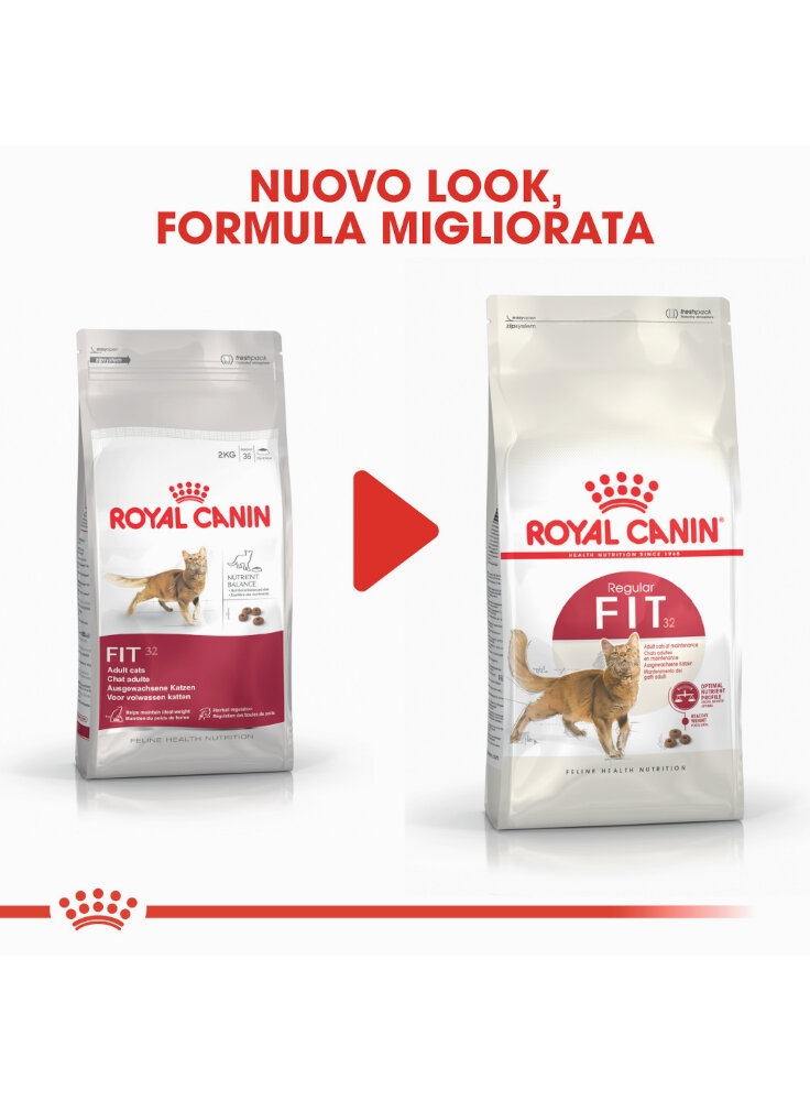 regular-fit-gatto-royal-canin-3