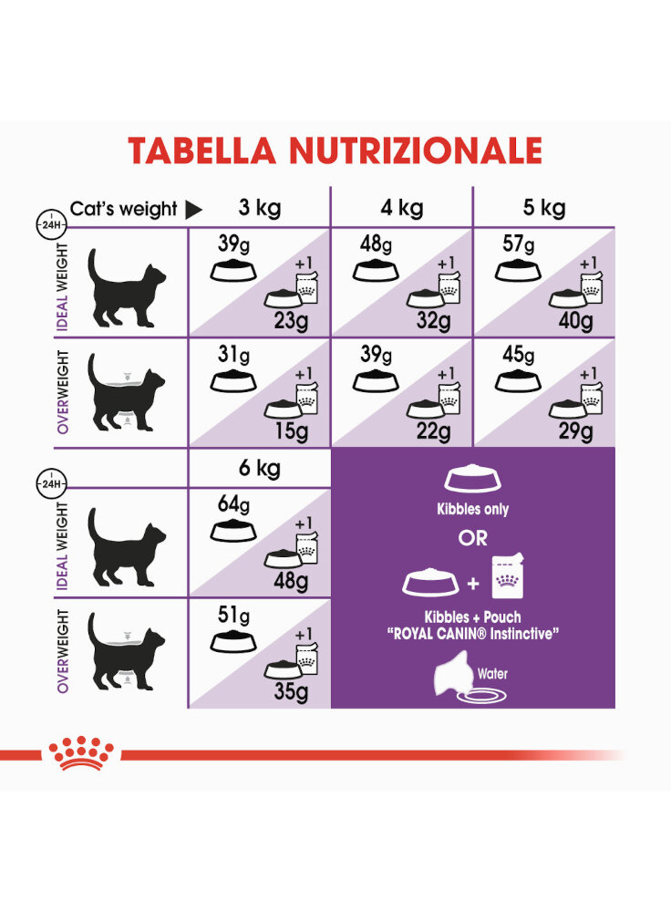 regular-sensible-gatto-royal-canin-3