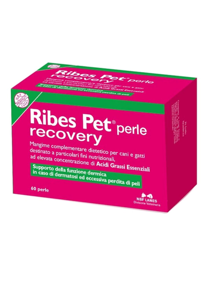 ribes-pet-recovery-60-perle-cane-e-gatto