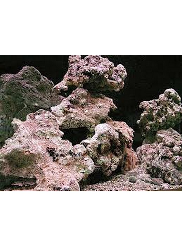 Roccia viva in pezzatura media piccola al kg