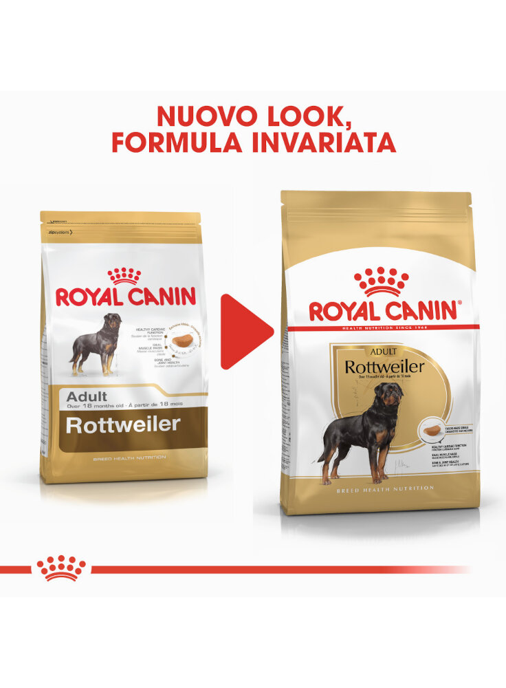 rottweiler-adult-royal-canin-4