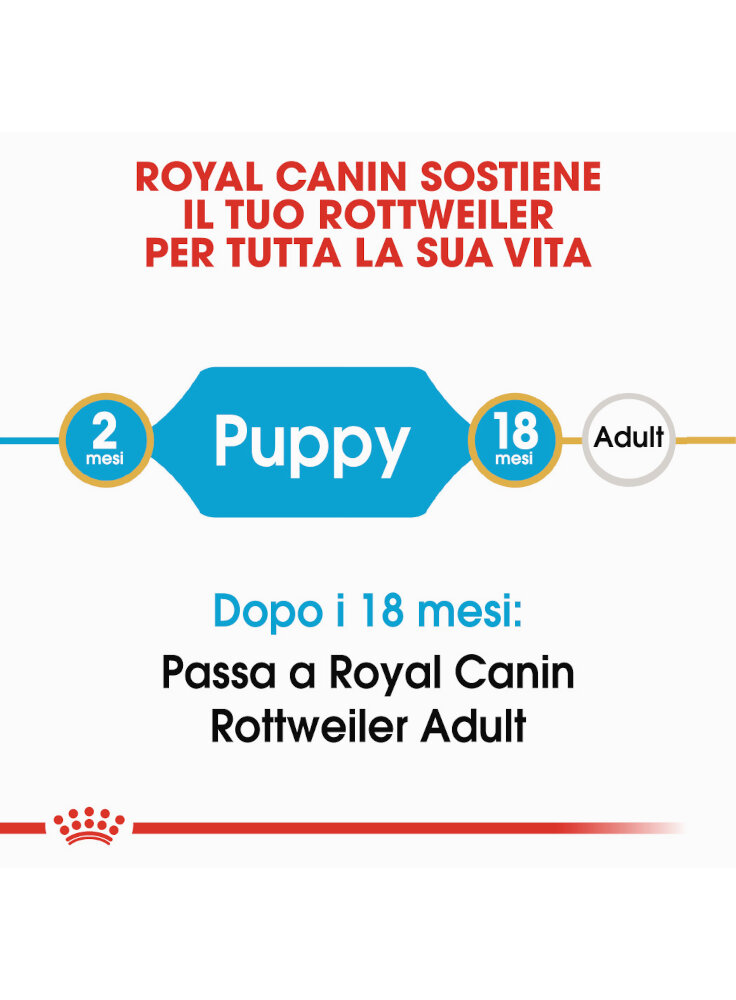 rottweiler-puppy-royal-canin-12kg-1