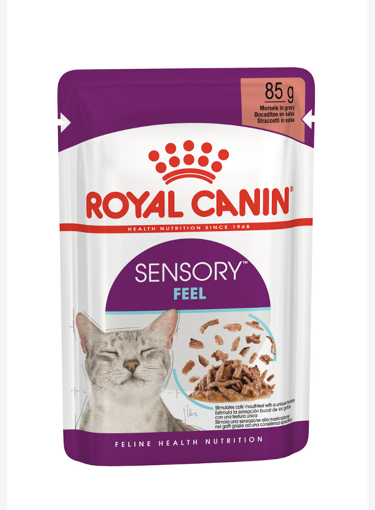 royal-canin-gatto-sensory-feel-salsa-12x85g