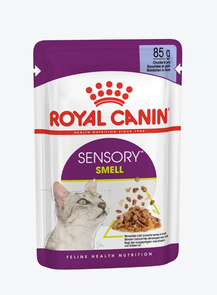 Royal Canin gatto SENSORY SMELL 12X85G
