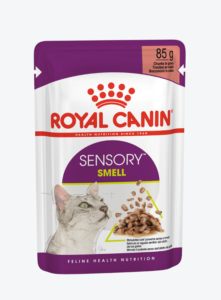 royal-canin-gatto-sensory-smell-salsa-12x85g