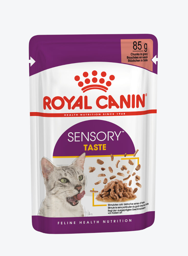 royal-canin-gatto-sensory-taste-salsa-12x85g