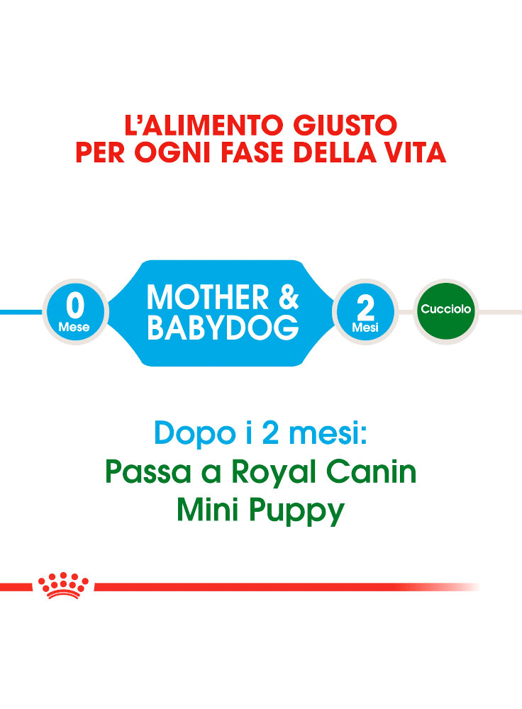 royal-canin-mini-starter-alimenti%20%281%29
