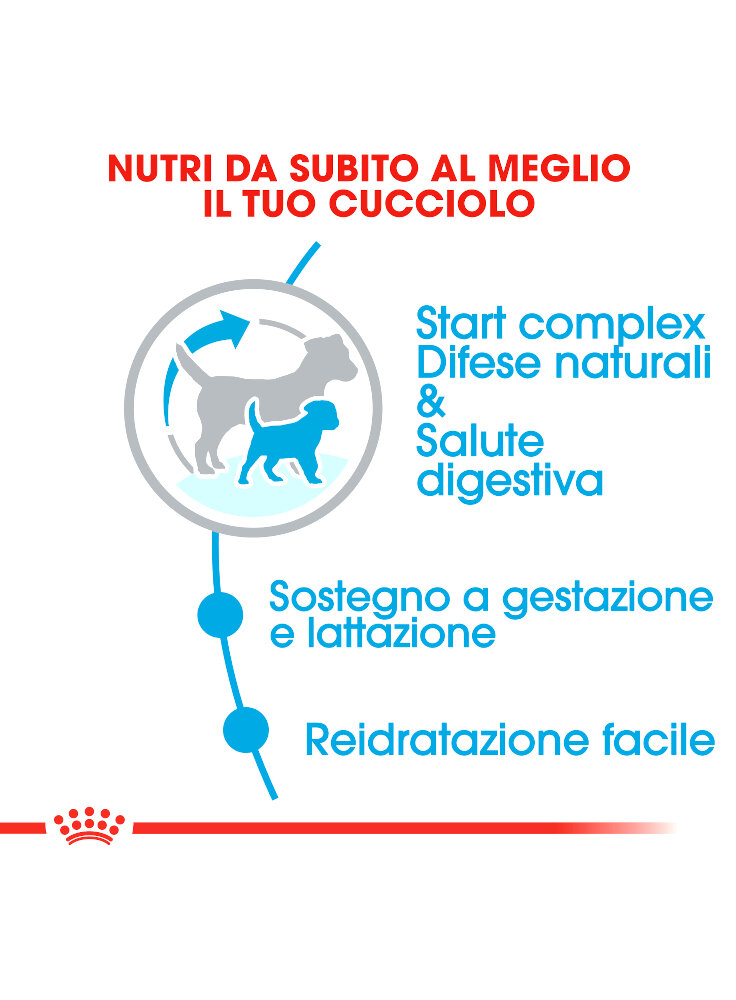 royal-canin-mini-starter-alimenti%20%283%29