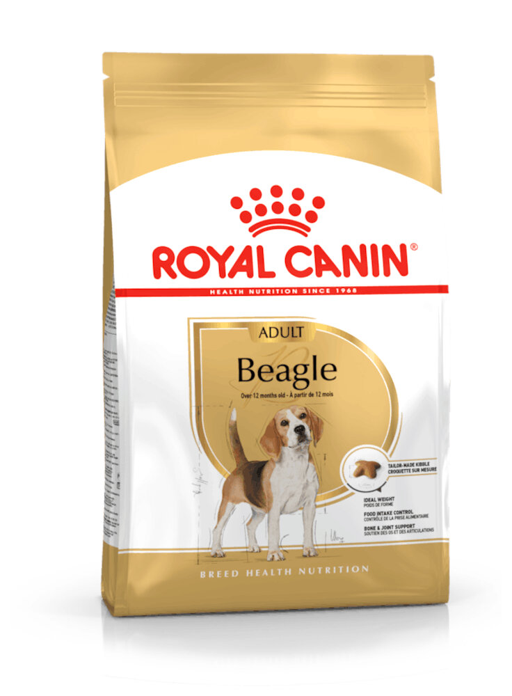 Beagle Adult Royal Canin