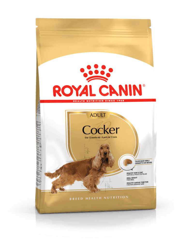 Cocker Spaniel Adult Royal Canin