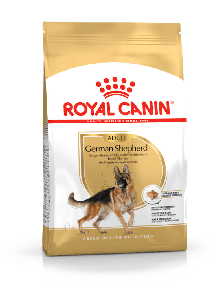 Pastore Tedesco GERMAN SHEPHERD Adult Royal Canin