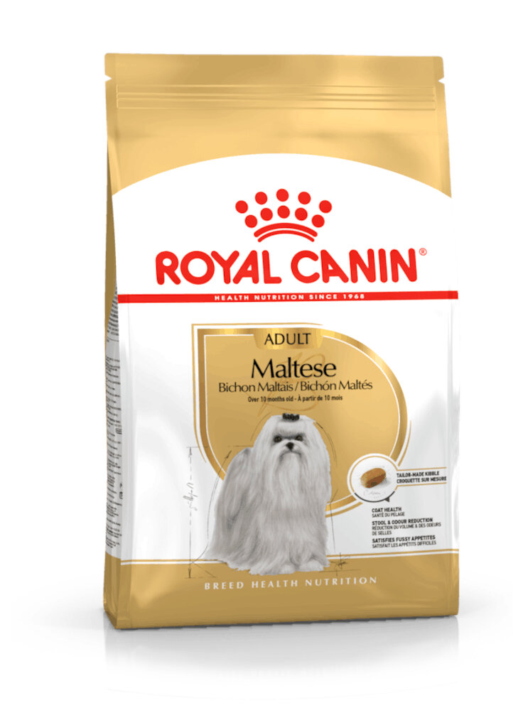 Maltese Adult Royal Canin