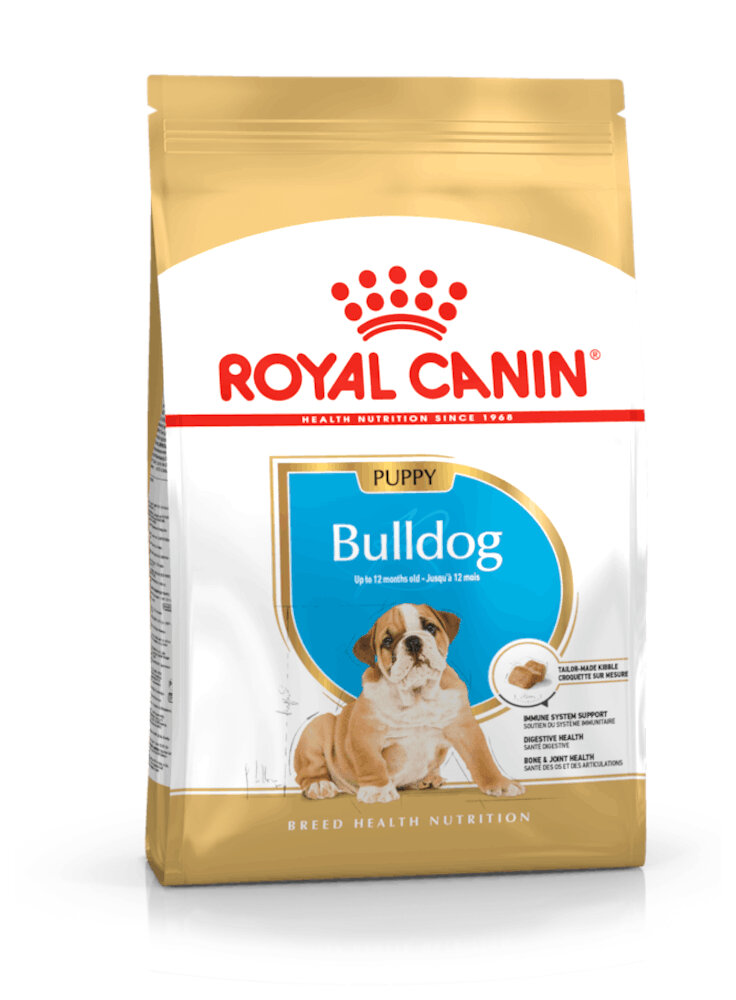 Bulldog puppy Royal Canin