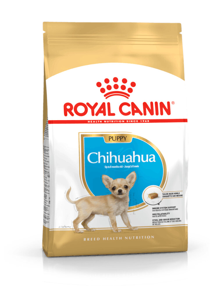 Chihuahua puppy Royal Canin