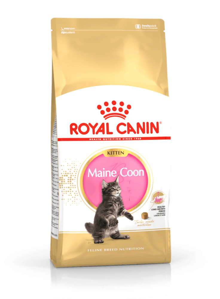 Maine Coon Kitten Royal Canin