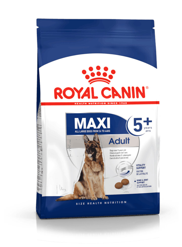 Maxi Adult 5+ cane Royal canin