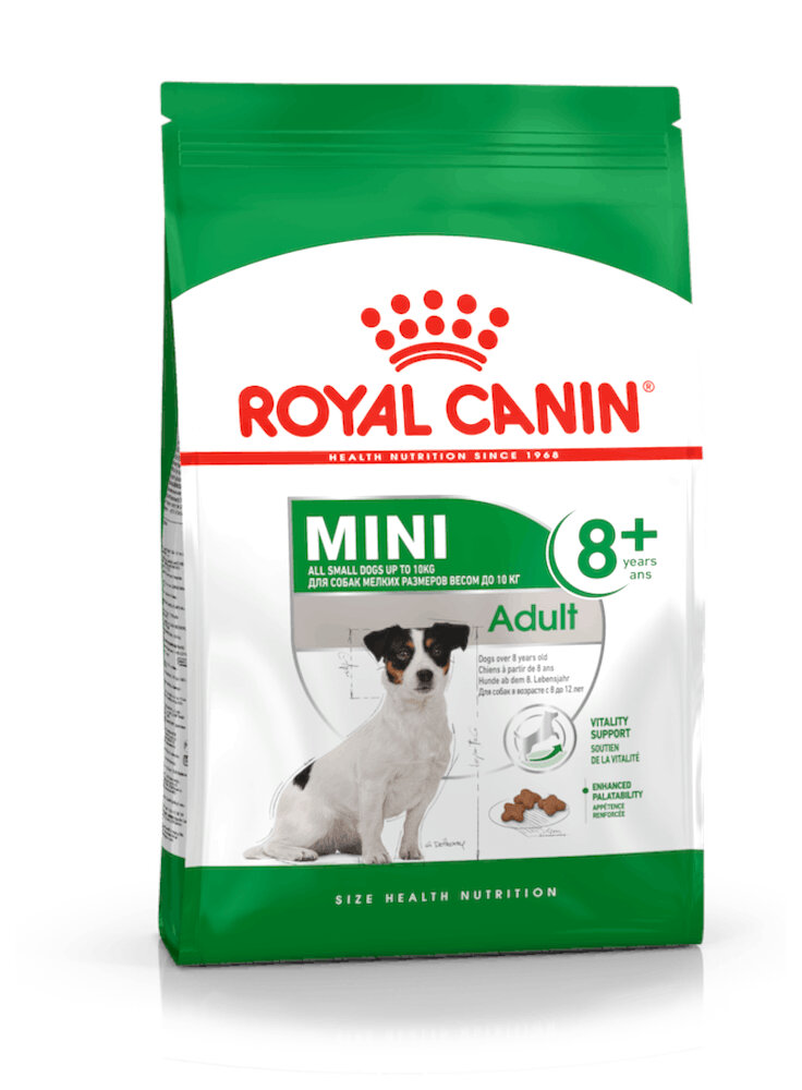 Mini Adult 8+ cane Royal Canin