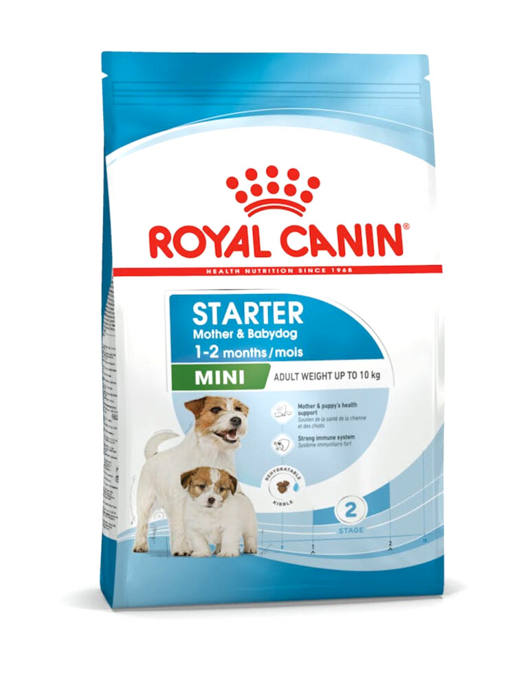 Royal Canin mini starter Mother e babydog