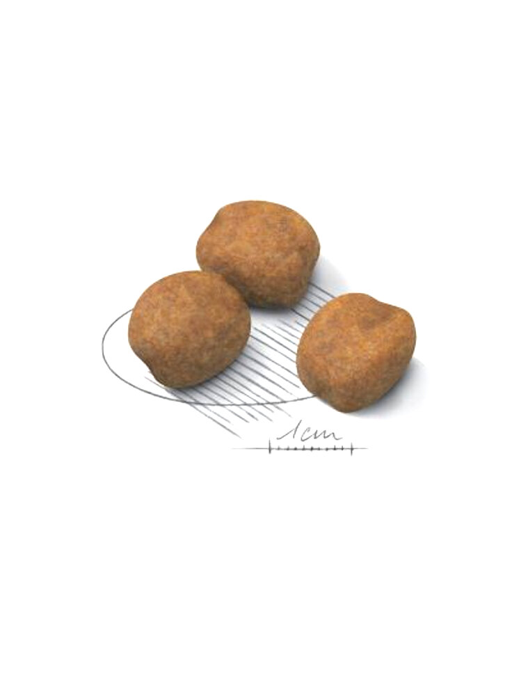 royal_canin_shn_giant_puppy_kibble_6