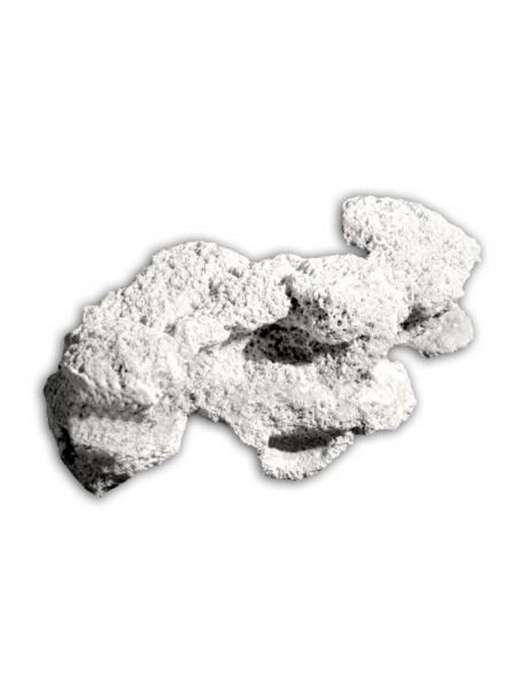 scoglioazoob