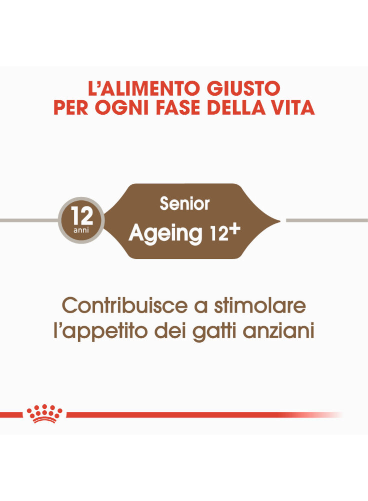 senior-age-ageing-12-gatto-royal-canin-1