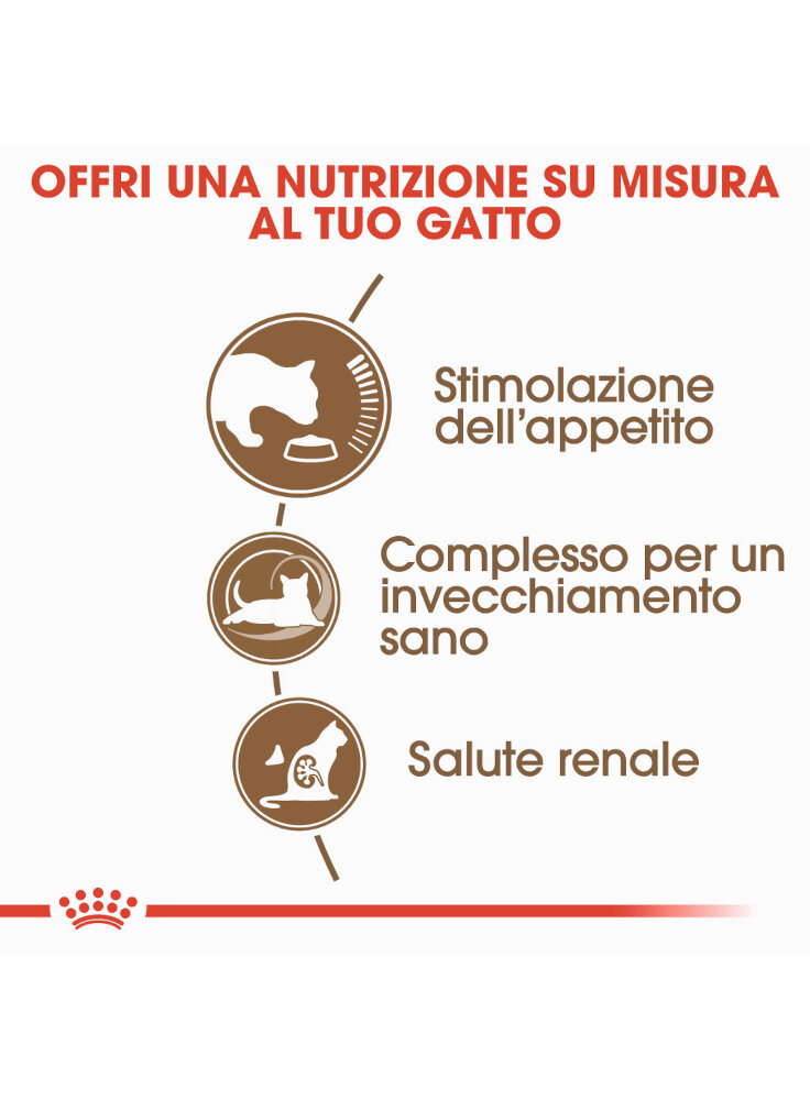 senior-age-ageing-12-gatto-royal-canin-2