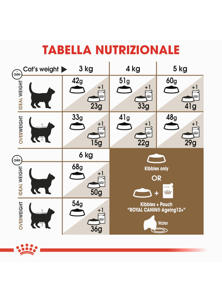 senior-age-ageing-12-gatto-royal-canin-4