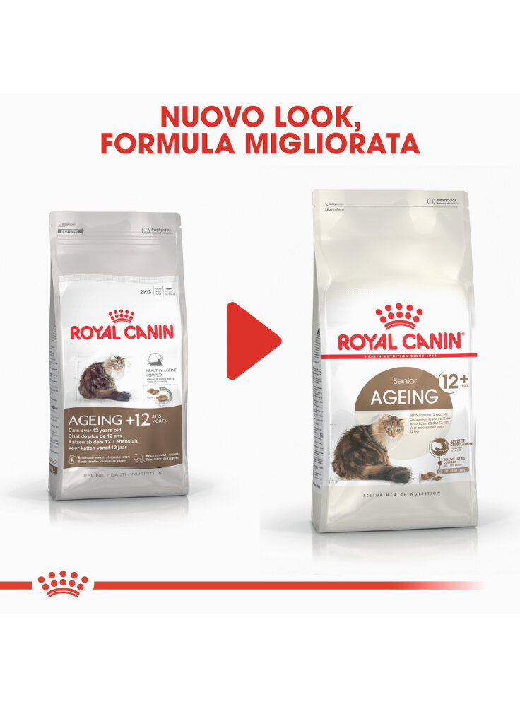 senior-age-ageing-12-gatto-royal-canin-5