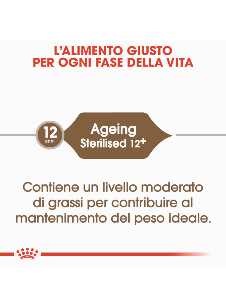 senior-age-ageing-12-sterilised-gatto-royal-canin-1