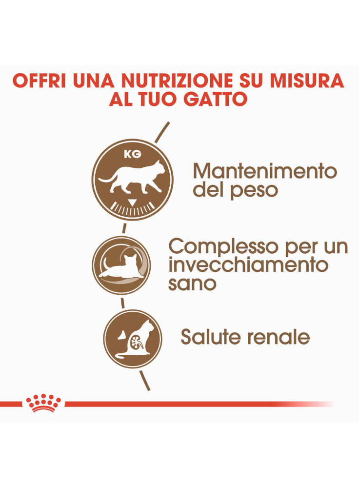 senior-age-ageing-12-sterilised-gatto-royal-canin-2