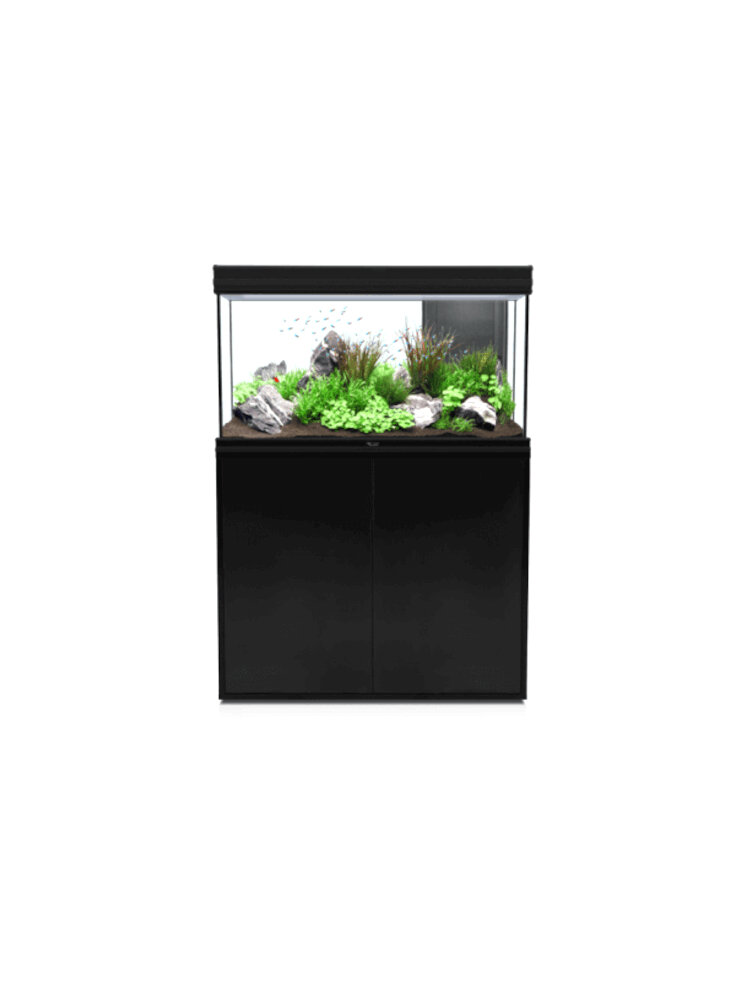 Acquario Fusion 100 nero completo di filtro mis. 100x40 cm senza supporto