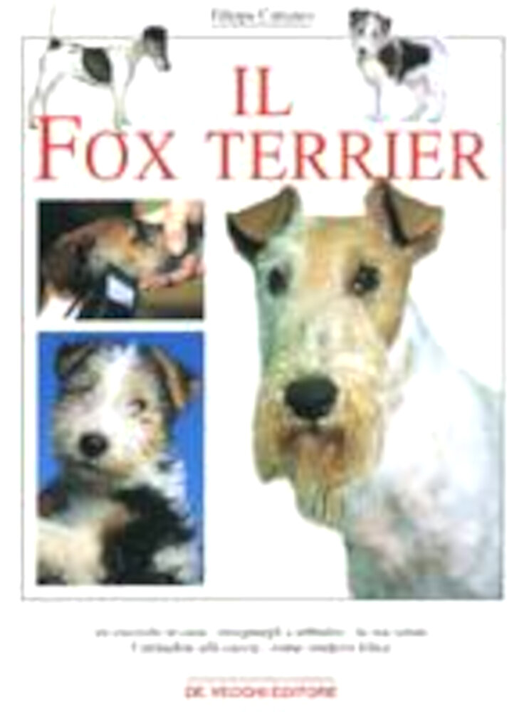 Libro il fox terrier devecchi