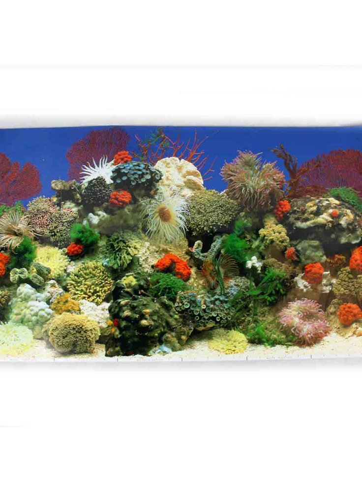 Sfondo per acquario Coralli SF11