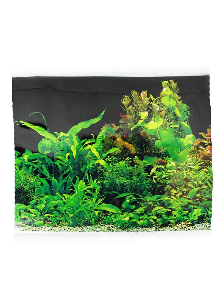 Sfondo per acquario Piante Nero SF4 Petingros da €5.77