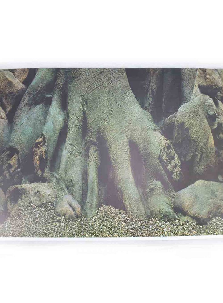 Sfondo per acquario Radici SF7 100x49h cm