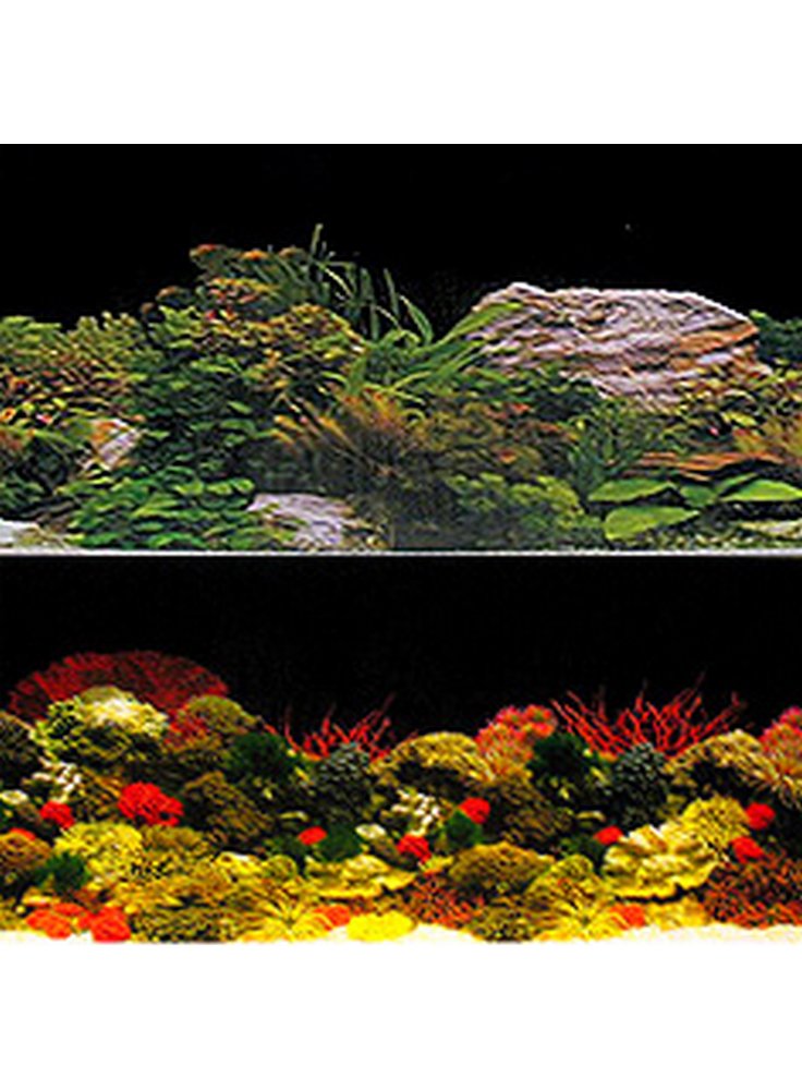 Sfondo DOUBLE FACE per acquari 100x50 cm