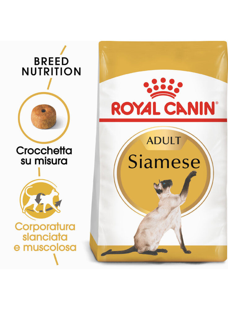 Siamese Royal Canin