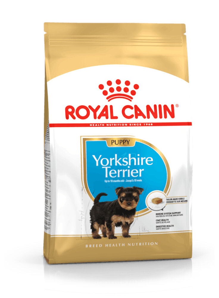 Yorkshire Terrier Puppy Royal Canin